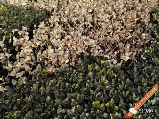 华为揽阅m2青春版10.1英寸怎么样,华为揽阅m2平板鸿蒙