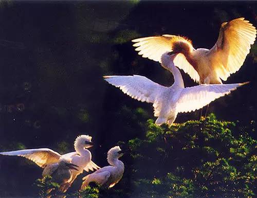 南昌宜居吗,南昌宜居指数