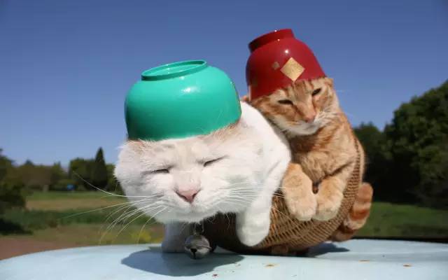 当有人说你胖时如何阴阳回击,别人损你胖怎么回击