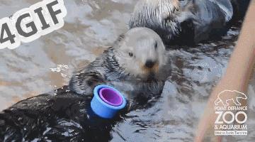 迪拜白天有多震撼,迪拜为什么那么热