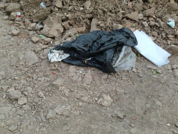 “射鸡”历险记打鸡血然后。