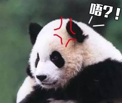 中国运动员在巴西被偷,奥组委这样补偿行不行?