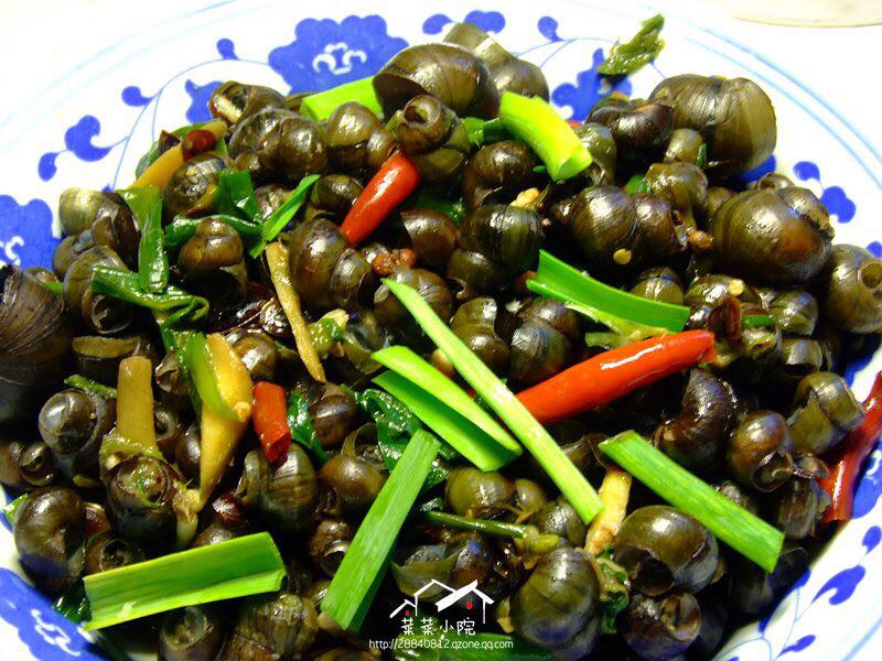 哪里适合隐居过田园生活,唯美的田园隐居生活