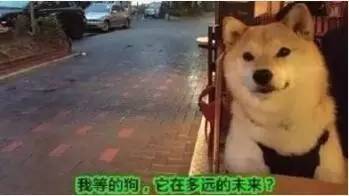 *情催**魔鬼七夕礼盒!法国海归米其林大厨撸袖手作