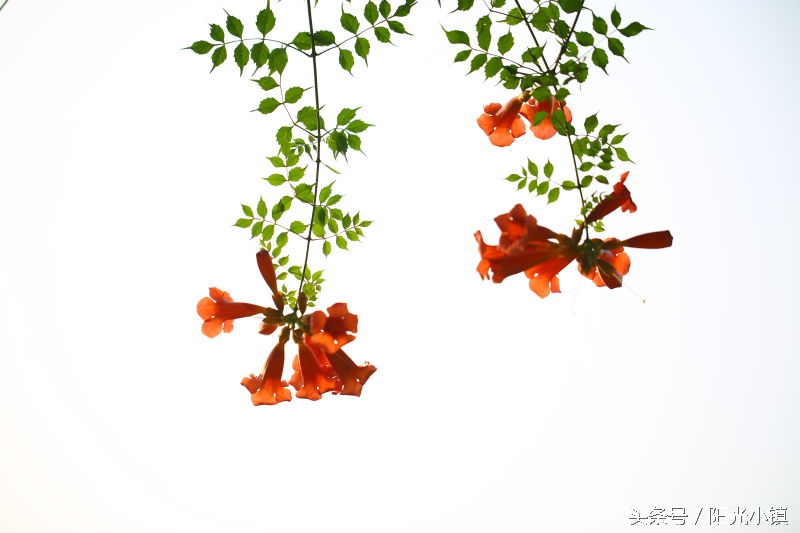 深度解析女人心里她需要什么,怎么才懂女人了解女人