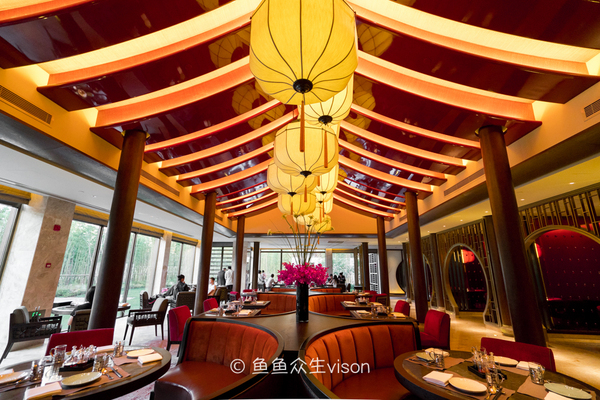 来到十三朝古都,来到十三朝古都西安