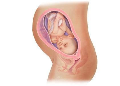 惊奇宝宝第一季,怀孕过程中的十大惊奇发现