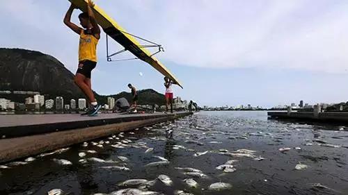 里约大冒险奥运会,里约奥运会里约大冒险