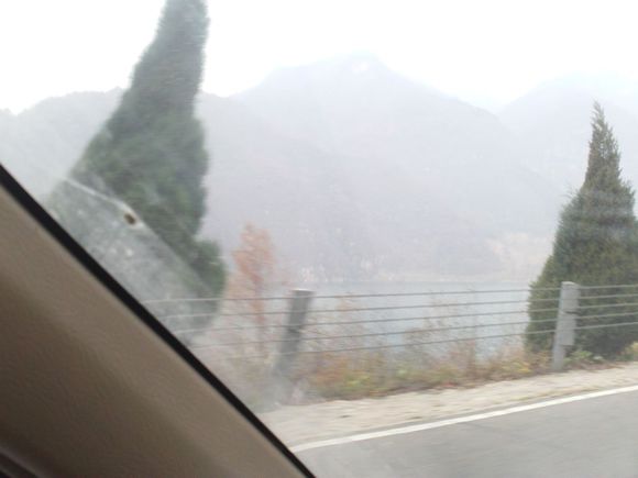 “射鸡”历险记打鸡血然后。