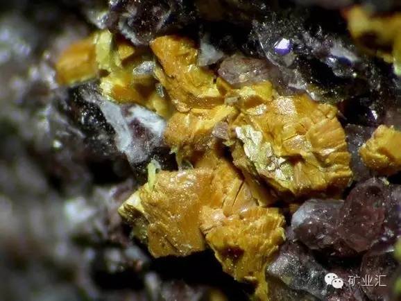 中煤能源与中国神华重组,神华集团重组最新消息