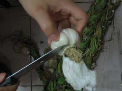 糖醋蒜怎么腌制好吃又脆,大蒜怎么腌制好吃又脆糖醋蒜