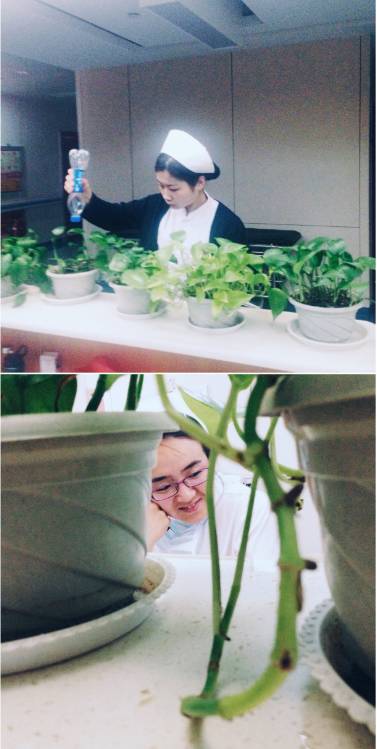 乡村医生的摄影作品,摄影作品乡村医生