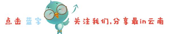 云南双扣扑克比赛,云南麻将比赛