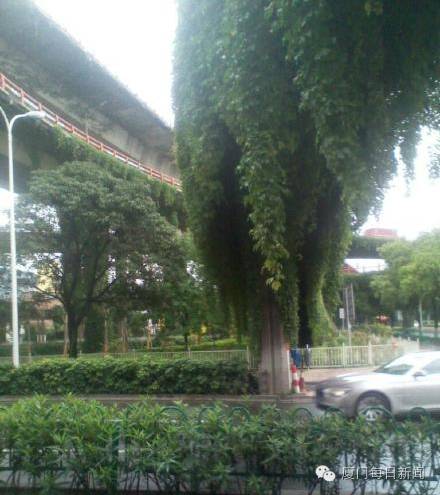 厦门适合野外烧烤的地方,厦门下雨天自己烧烤好去处