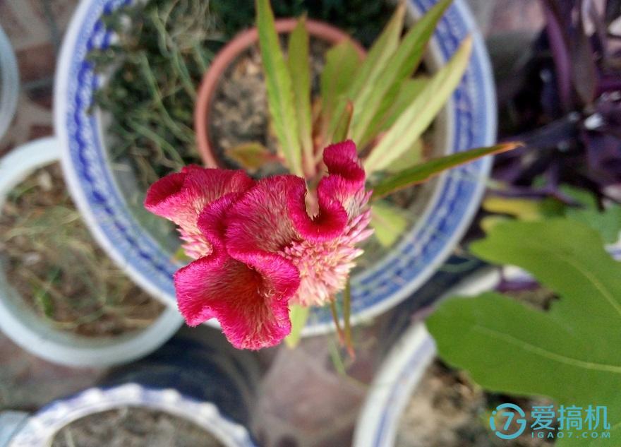 千元机魅蓝note6,魅蓝note3轻度使用测评