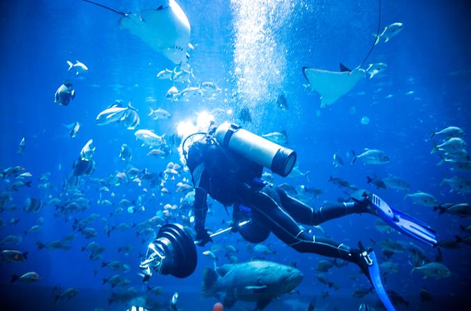 万达南昌海洋馆,南昌万达海洋馆