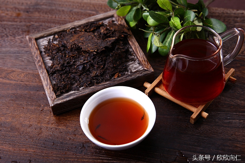 普洱茶30秒入门,普洱茶直播入门知识