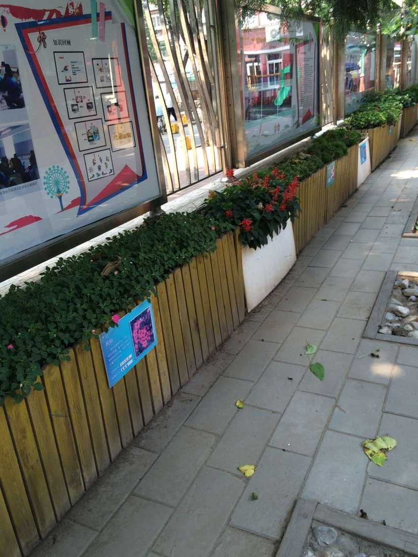 实验幼儿园教育特色有哪些,科技特色幼儿园理念