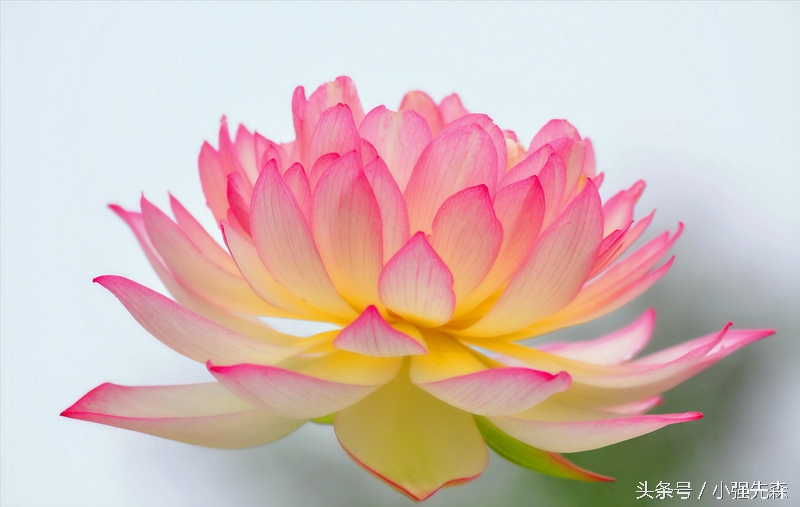 如何写一份让hr无法拒绝的简历,如何写好简历秒杀hr