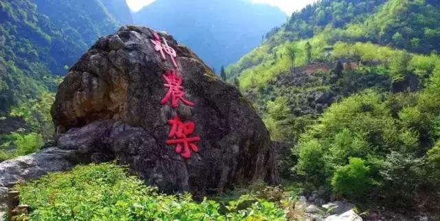 带上相机去看世界,带着相机去看世界