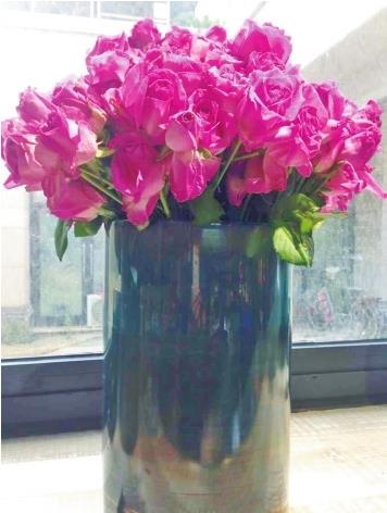 最爱文艺范|郑州最文艺的10家花店