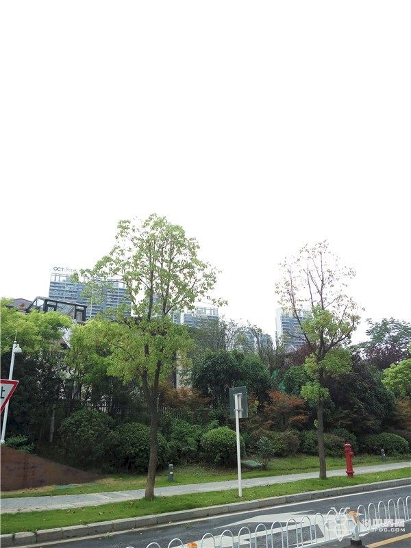 纯水岸东湖解读,武汉东湖纯水岸房价