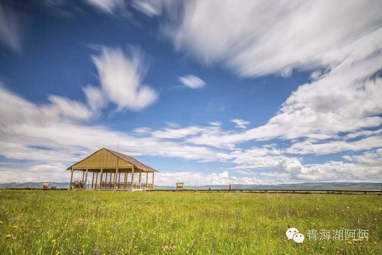 青海湖和沙坡头哪个更值得去,12月青海湖值得去吗