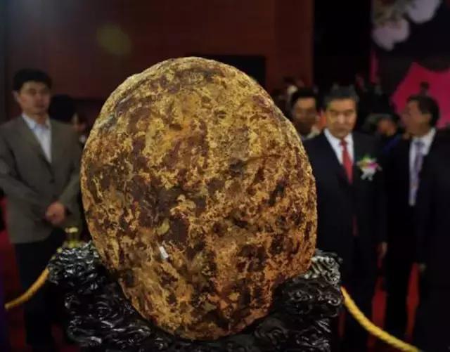 最大的琥珀蜜蜡原石,世界最贵蜜蜡原石