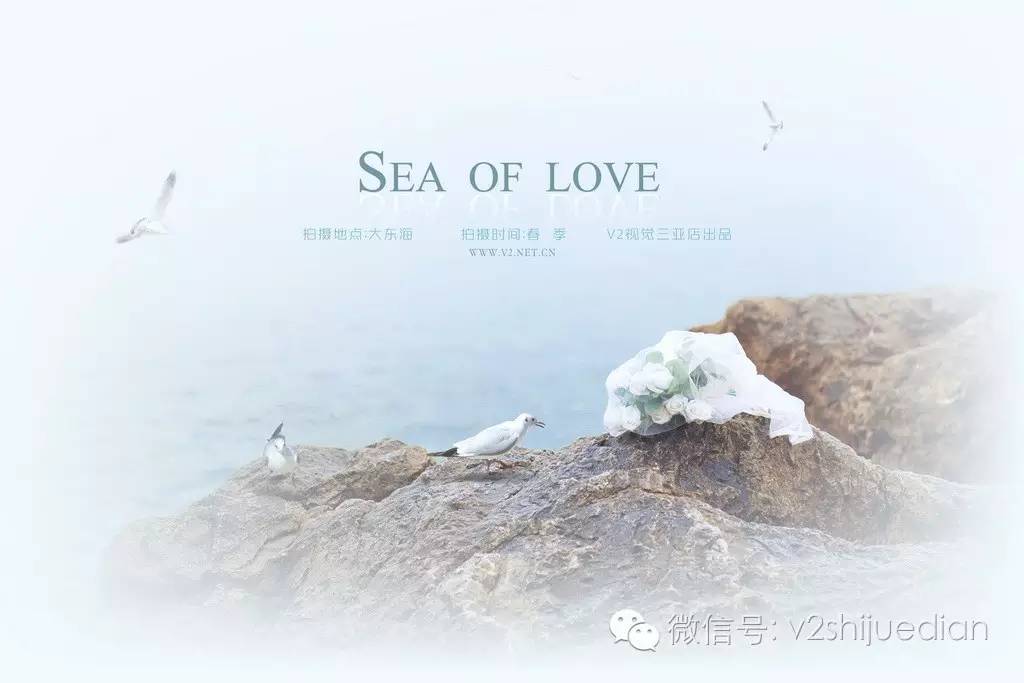 v2视觉婚纱摄影团购,v2视觉婚纱摄影风格