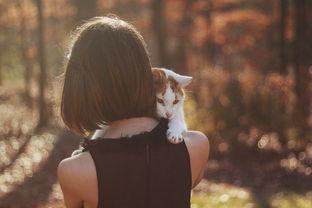 瀹犵墿鎯呯紭鏁戜富,瀹犵墿鎯呯紭lucky