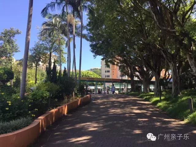 去香港去哪些地方购物,去香港旅游购物哪里好一点