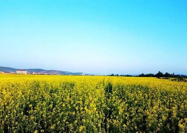 承德丰宁和围场哪个好玩,承德丰宁和承德围场