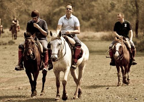 房地产界的陈先生,陈先生谈房地产