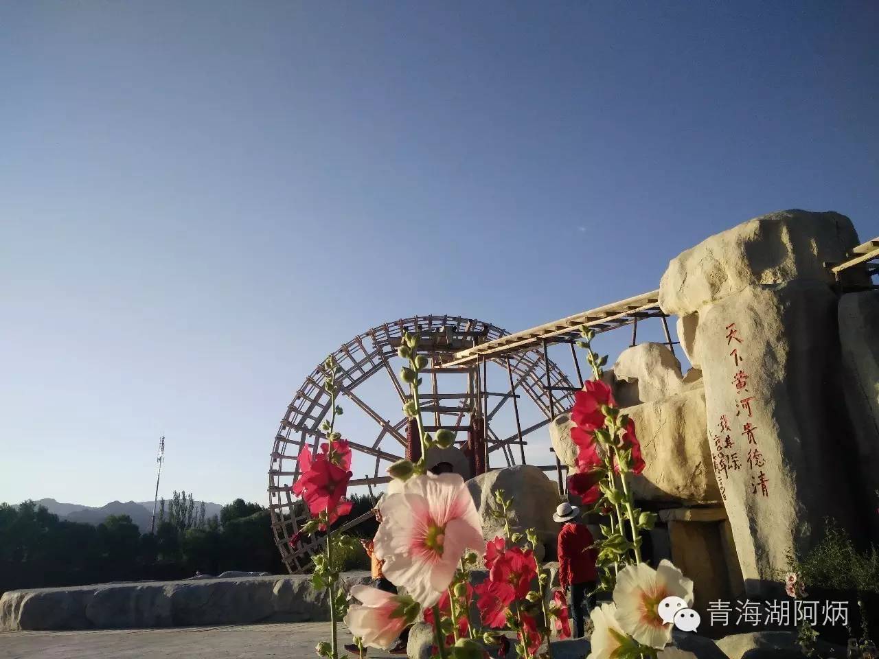 青海湖和沙坡头哪个更值得去,12月青海湖值得去吗