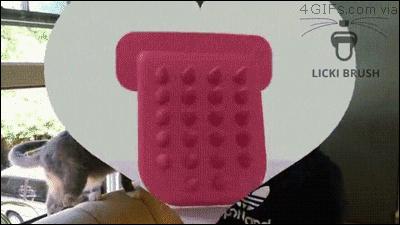 可以舔猫咪的神器,舌头仿真器