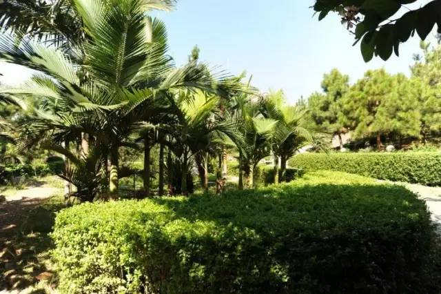 梦想起航沙河校区,内丘中学梦开始的地方