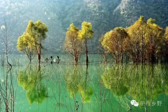 琛屾憚姹変腑,琛屾憚闄曡タ