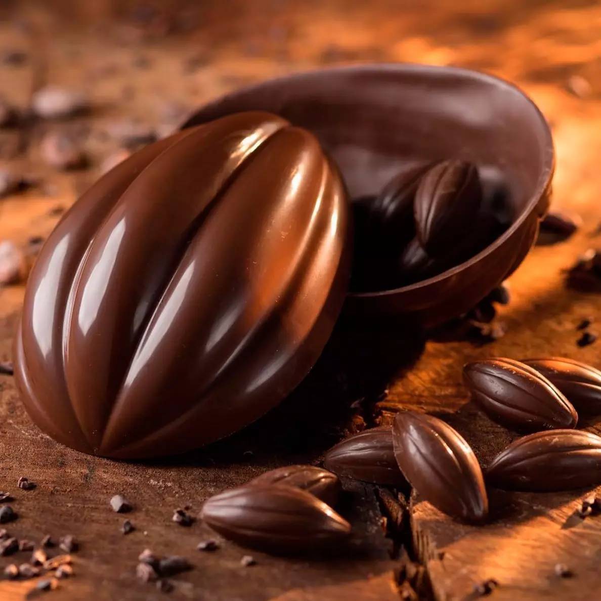 里约热内卢夏季奥运,夏季奥运会和冬奥会一样吗