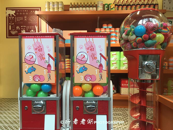 猫大咪可爱视频,小猫咪呆萌视频