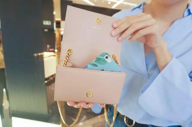 See姨评测：6只最适合秋冬的链条包