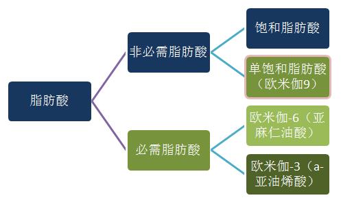 欧米伽3的别名又叫什么,欧米伽3哪里出的