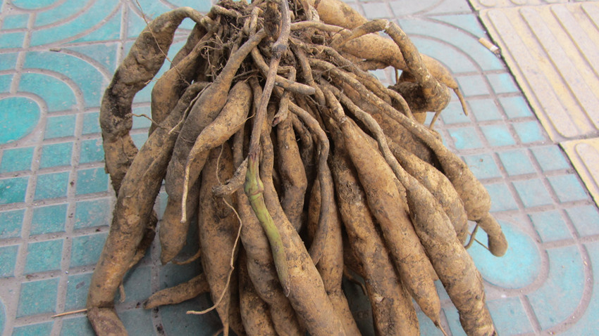 中药治咳嗽50例,80岁老中医治咳嗽草药