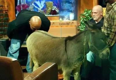 女排输给巴西完整视频,女排赢巴西震惊评价