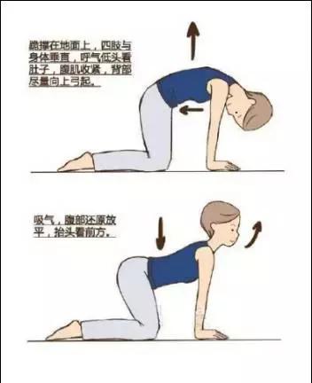 产后七日形体恢复操,产后七日操