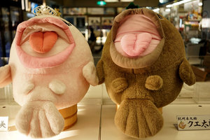 jr大阪一日游,大阪jr旅游攻略