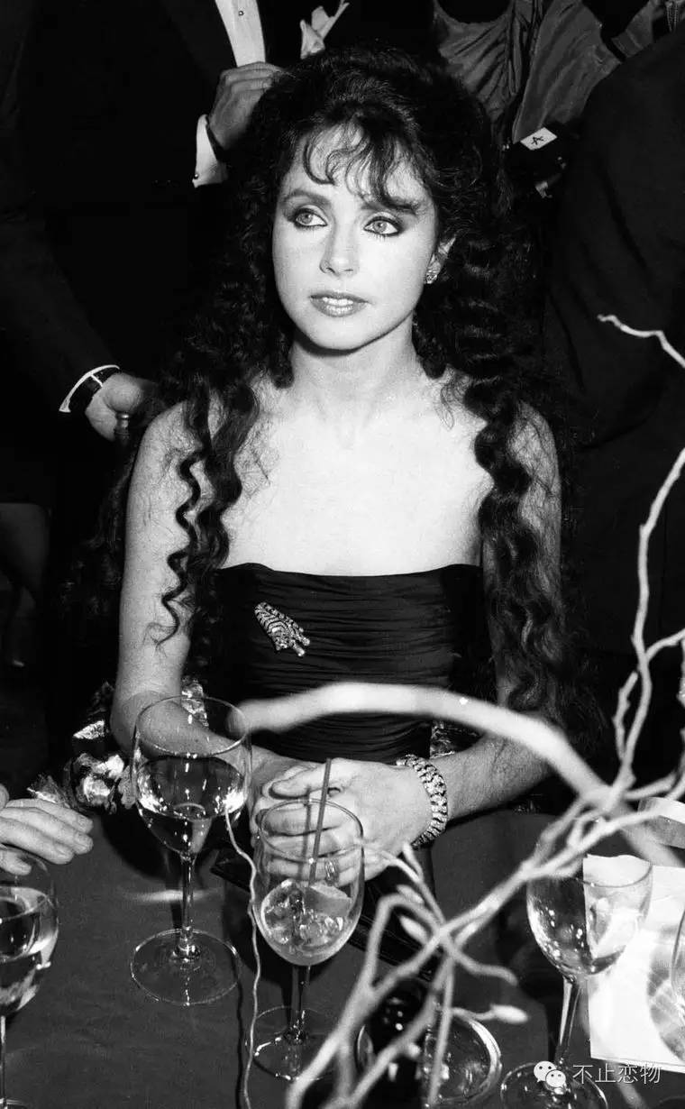 温莎公爵的珠宝传奇,温莎公爵珠宝图片