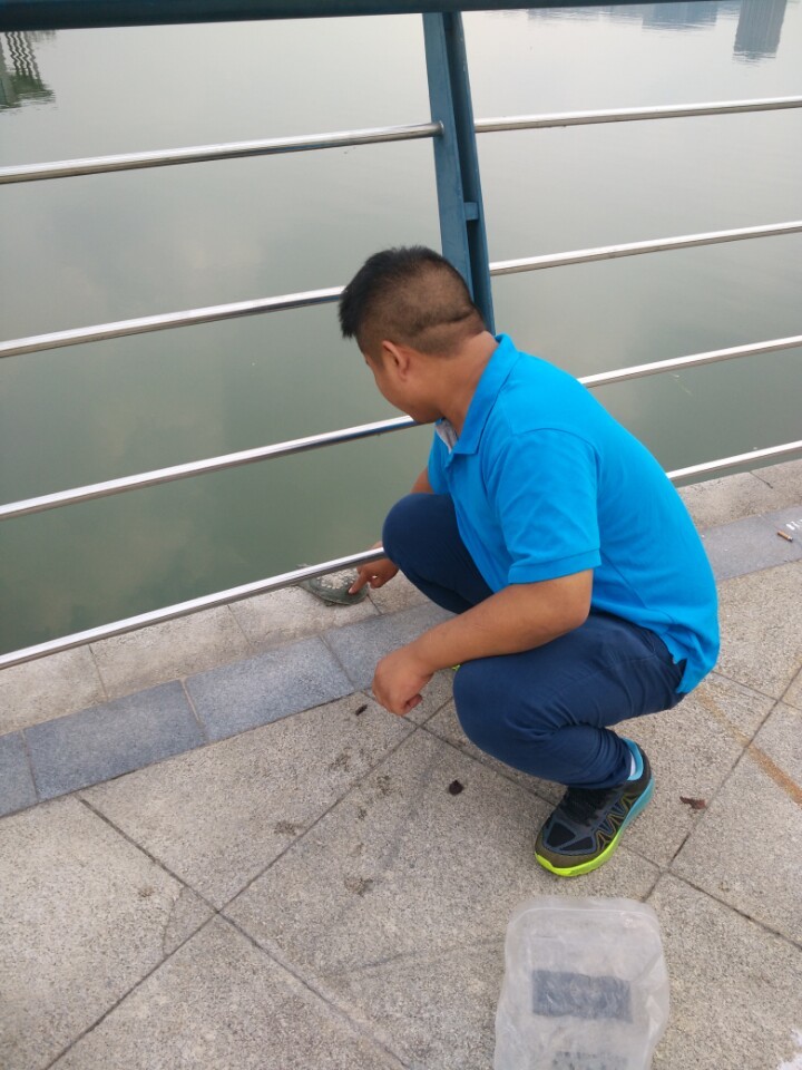 钓了一只鳖要放生吗,钓了一只野生甲鱼