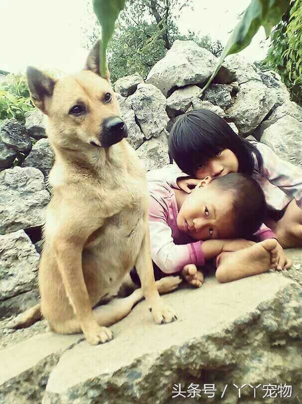 不穿鞋的原因竟然是？还好狗狗陪着你们我很放心