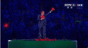 为什么皮卡丘不进化,柯南和皮卡丘