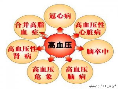 高血脂高血压禁忌食物一览表,哪些食物可以降低高血压